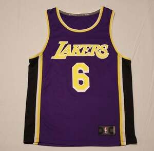 Fanatics Los Angeles Lakers LeBron James #6 Purple Basketball Jersey